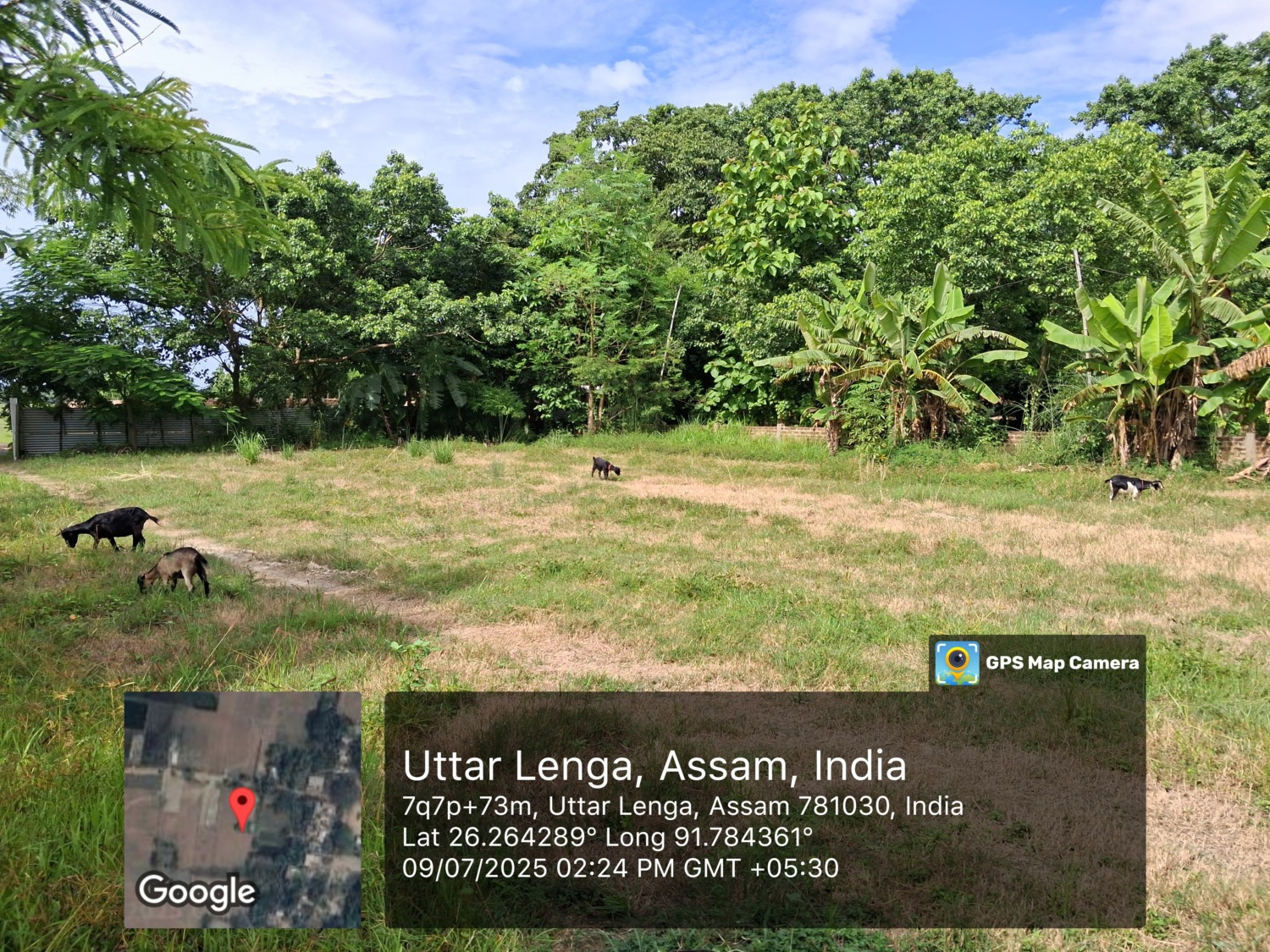 Land for rent