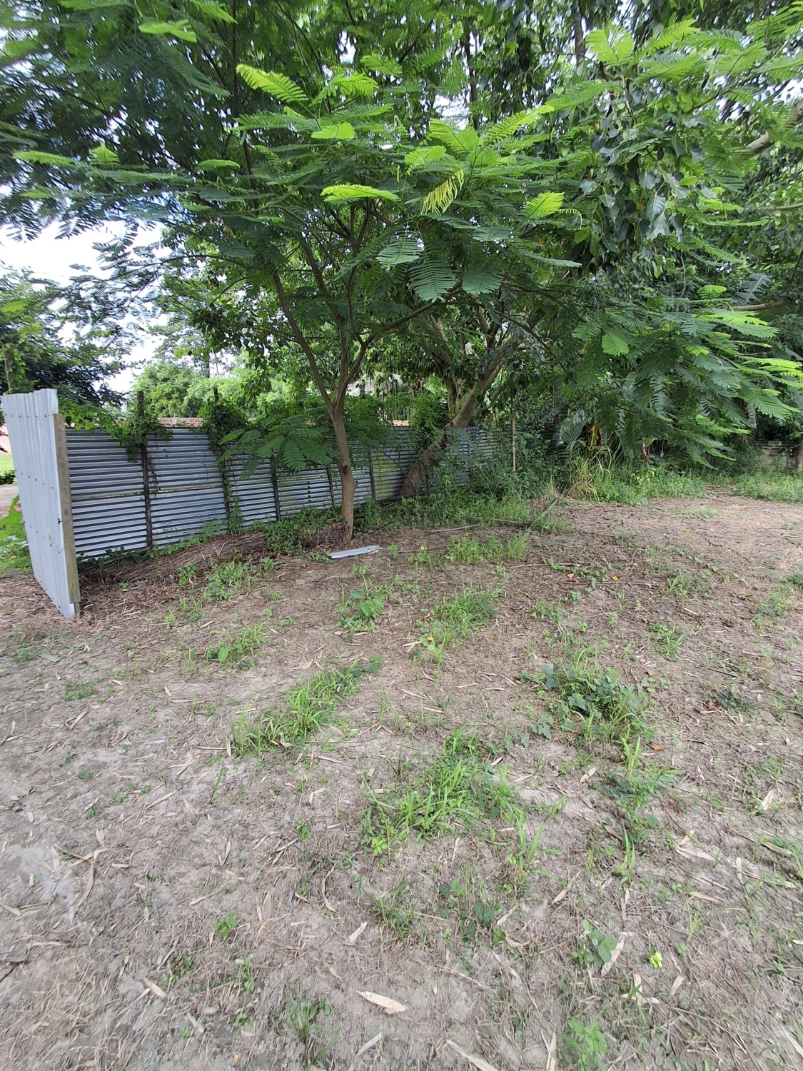 Land for rent